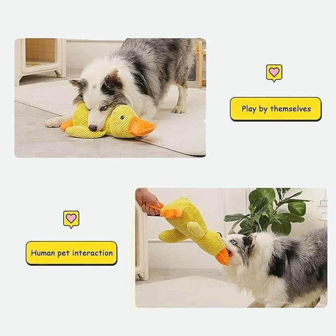Soothing Duck Toy