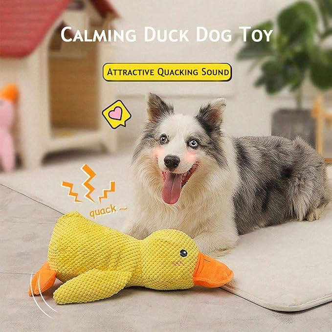 Soothing Duck Toy