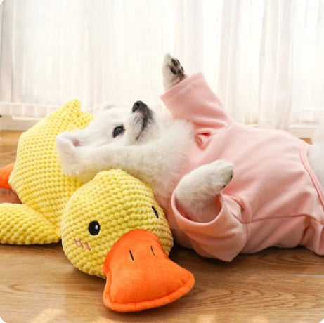 Soothing Duck Toy