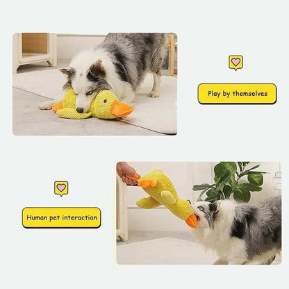 Soothing Duck Toy