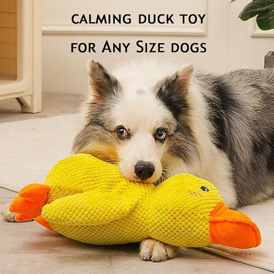 Soothing Duck Toy